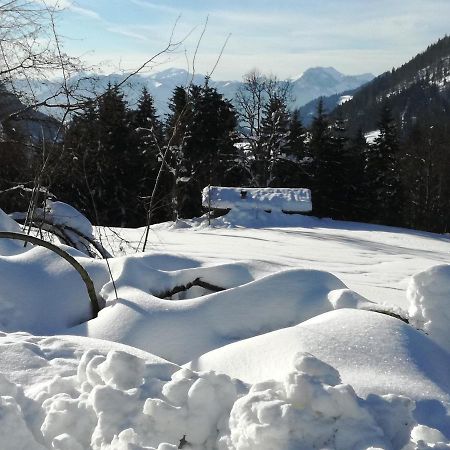 Karrerhof Apartman Walchsee Kültér fotó