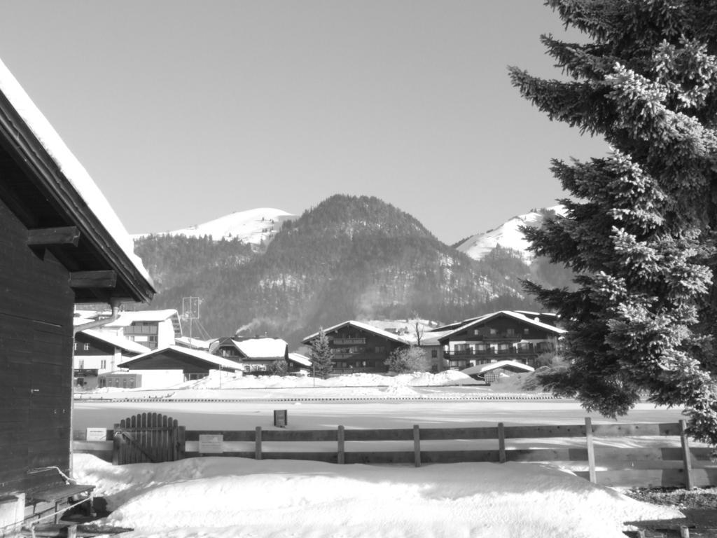 Karrerhof Apartman Walchsee Kültér fotó